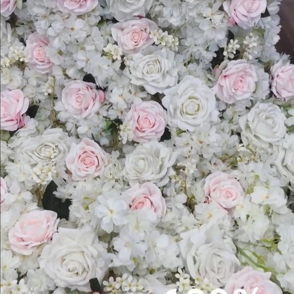 Meet your Posher, Dzua aembi